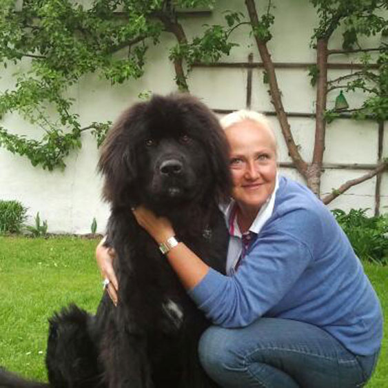 Imo – Hund zu Gast in einer Ferienwohnung in Binz