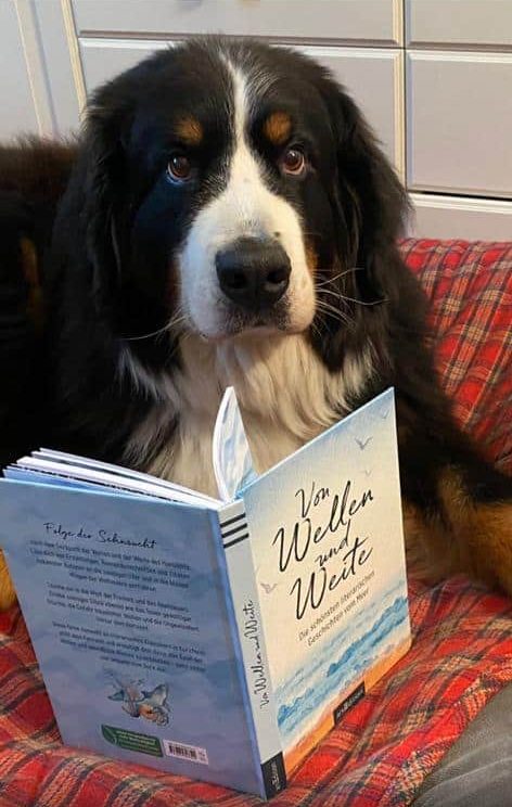 Penny – Hund zu Gast in einer Ferienwohnung in Binz