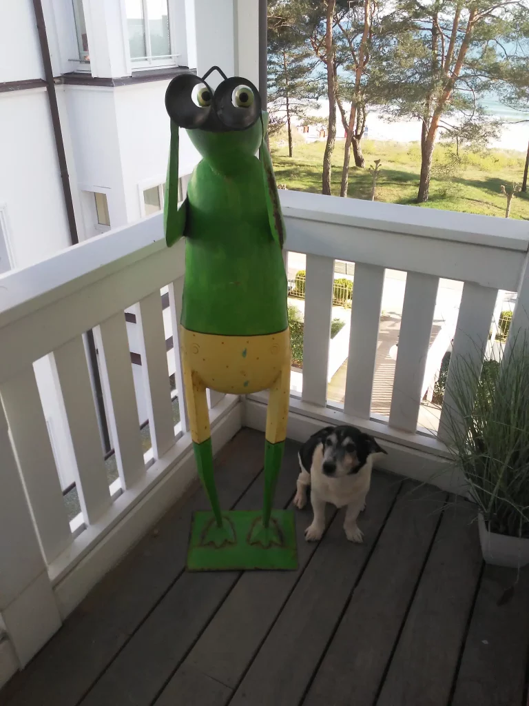 Garry auf Rügen – Hund zu Gast in einer Ferienwohnung in Binz