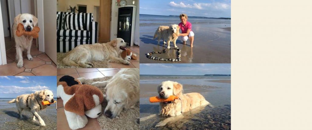 Foto: Hunde-Urlaub im Inselparadies Rügen