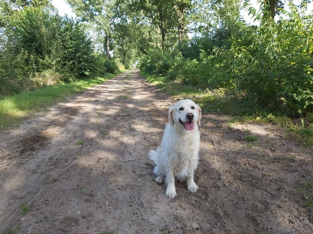 Foto: Marla